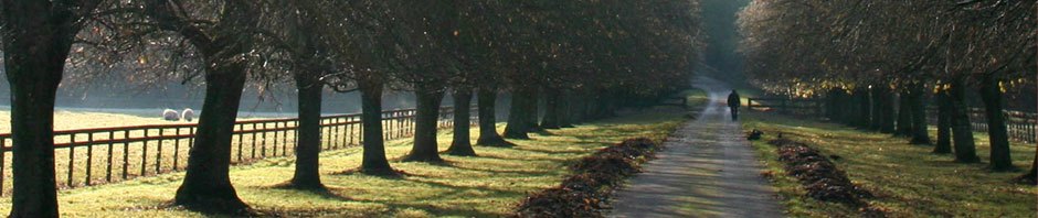 Hannovers Orte der Erinnerung